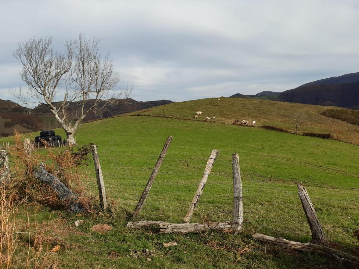 Apartamento Rural Elizondo Bagian luar foto